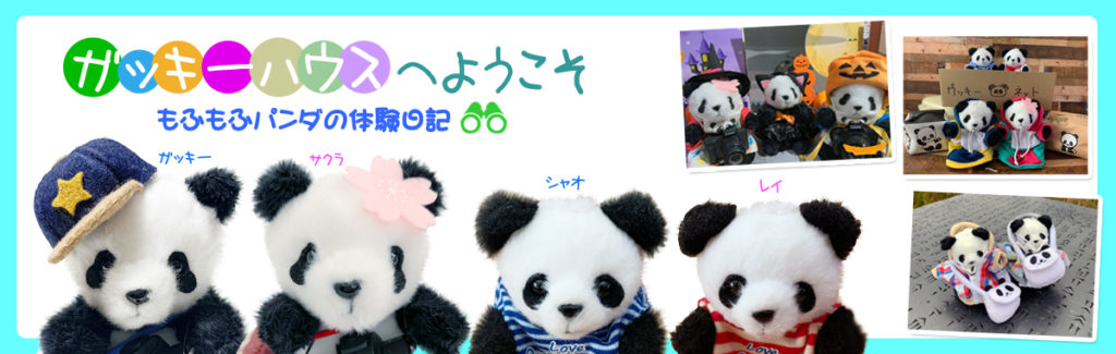 ガッキーハウスへようこそ