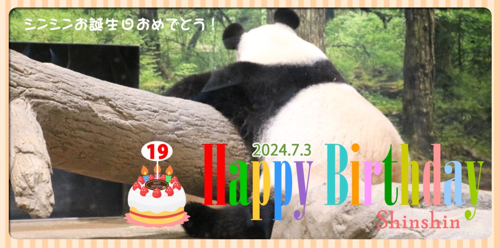 Beautiful PANDA ShinShin